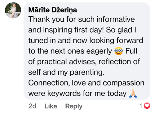 Facebook comment from a summit attendee